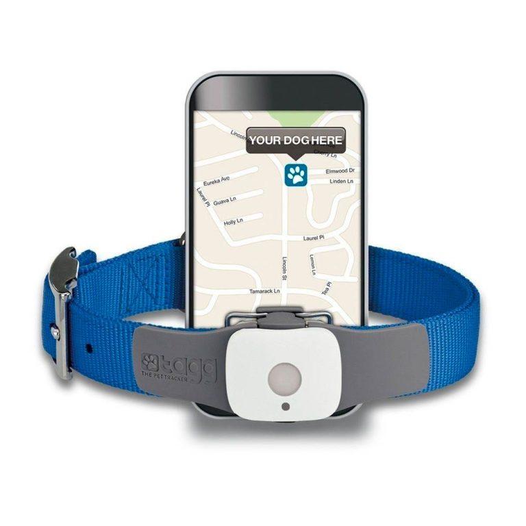 Gps маячок для животных: кошек и собак, джипиэс радио трекер для ...
